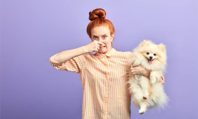 A young woman reacts to stinky dog