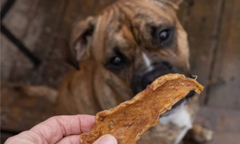 best dog jerky treats