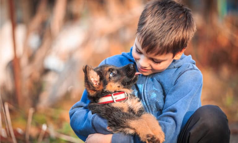 how much does a dog cost