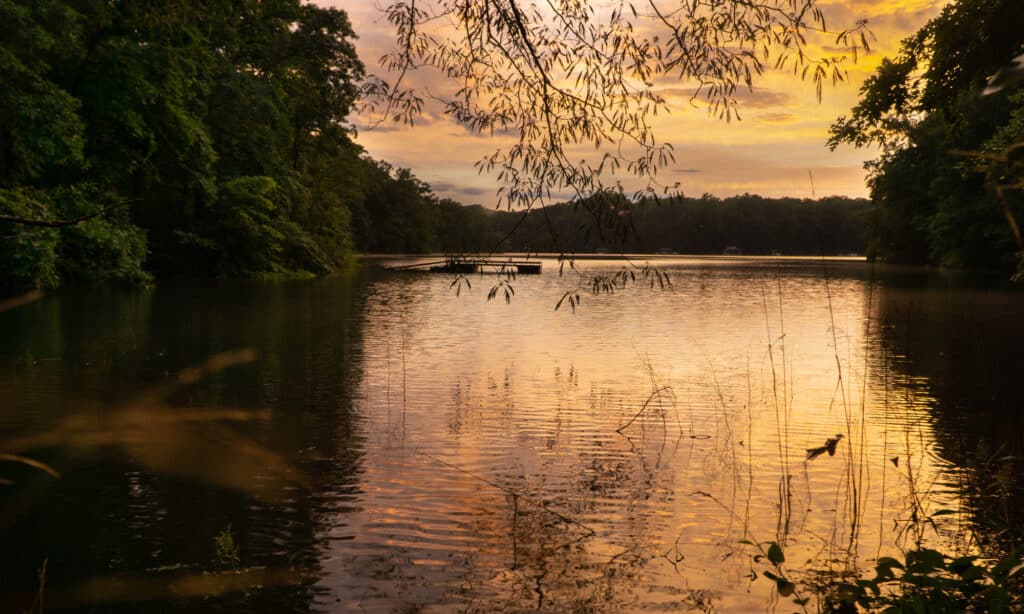 Lake Hartwell, Georgia