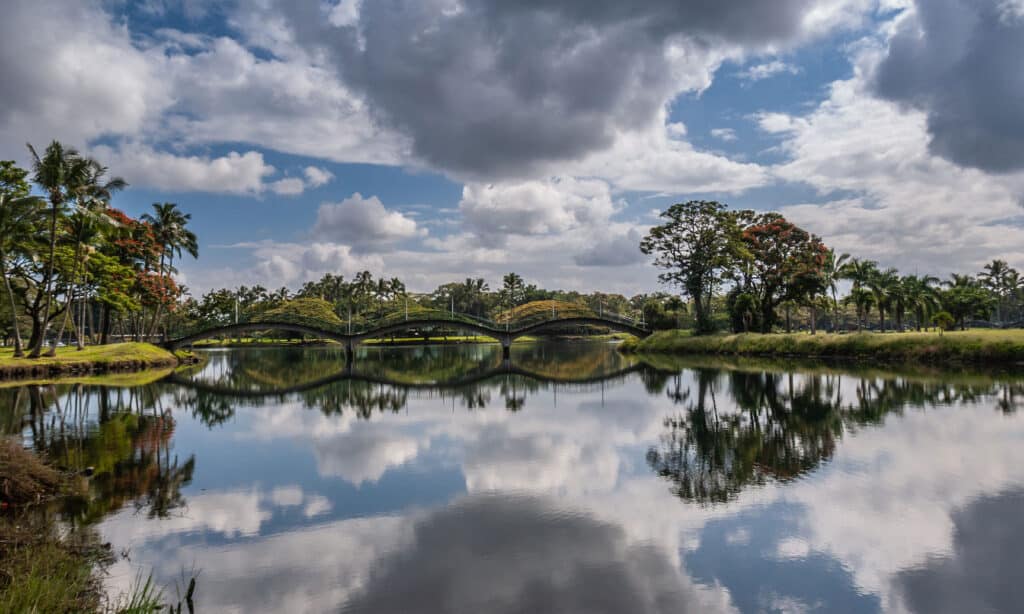 Waiakea Pond