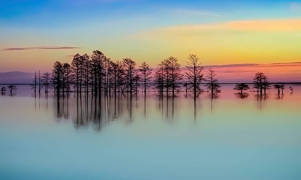 Mattamuskeet Lake