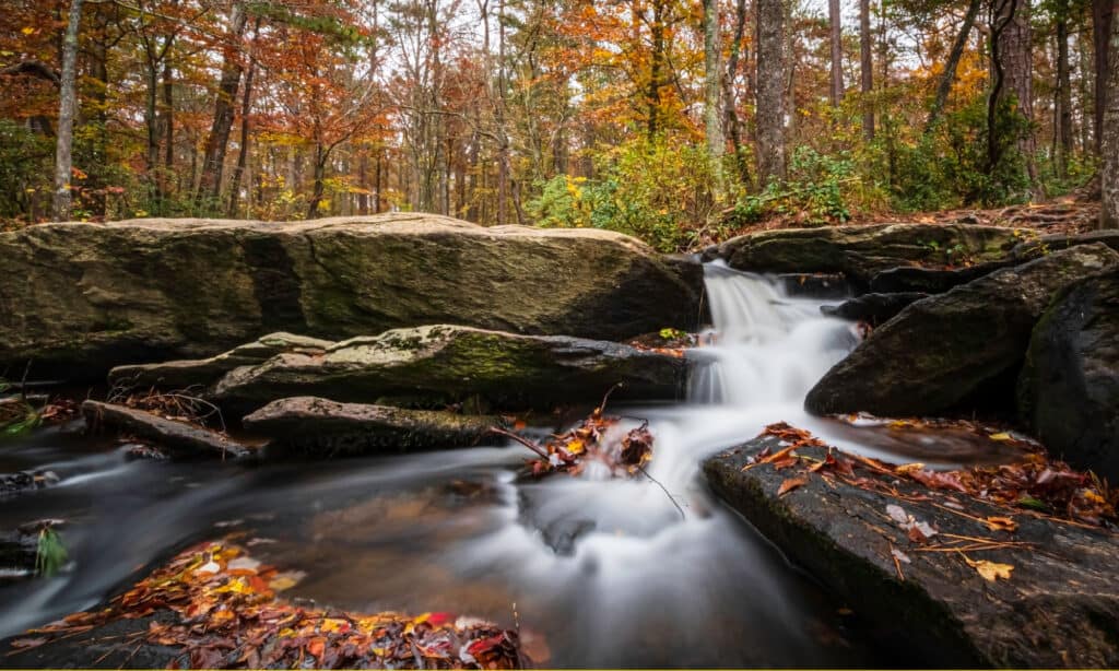 Cheaha Falls Alabama