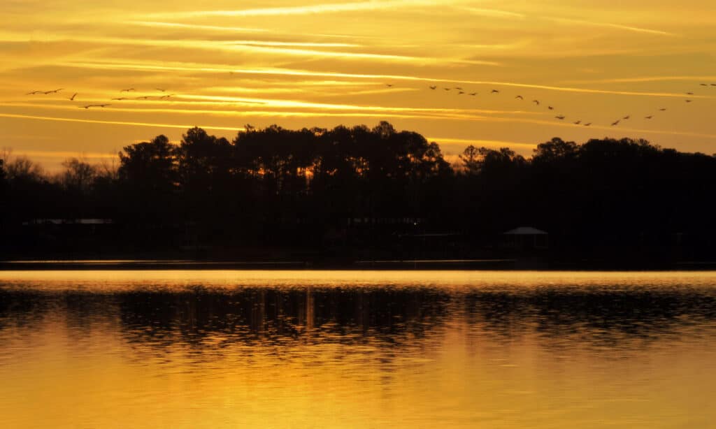 Weiss Lake Alabama