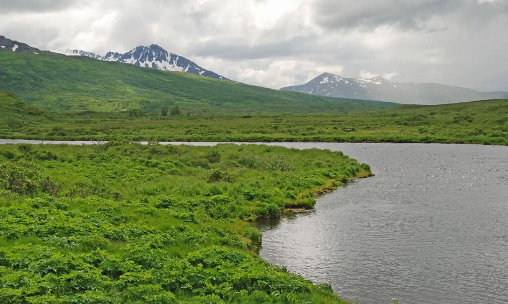 alaska summer temperatures