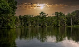 The 10 Best Florida Lakes: Big, Small, Unique, and Beautiful – Two are Haunted! Picture
