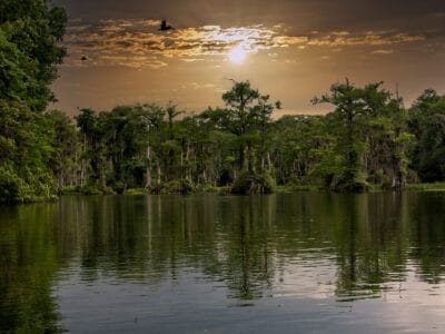 A The 10 Best Florida Lakes: Big, Small, Unique, and Beautiful – Two are Haunted!
