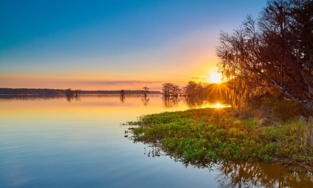 Hồ Talquin Florida