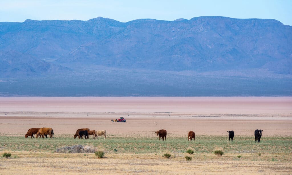 Mohave County, Arizona