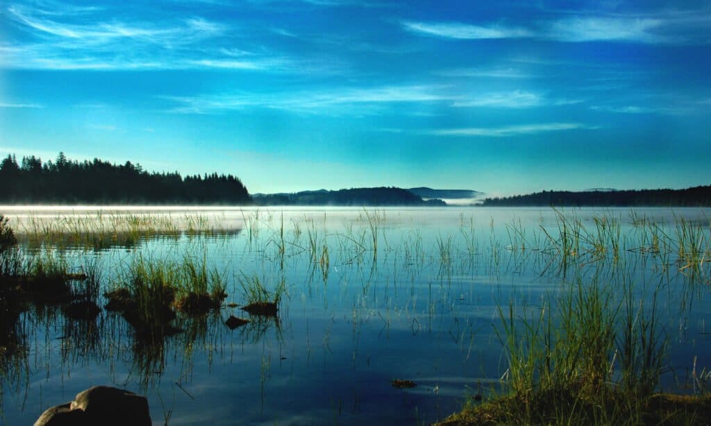 Ozette Lake