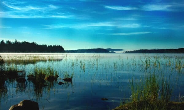 The 7 Most Beautiful Mountain Lakes in Washington - A-Z Animals