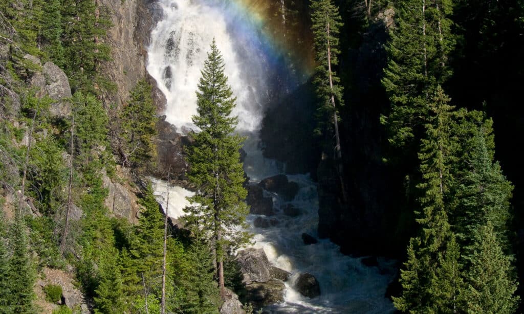 Fish Creek Falls Colorado