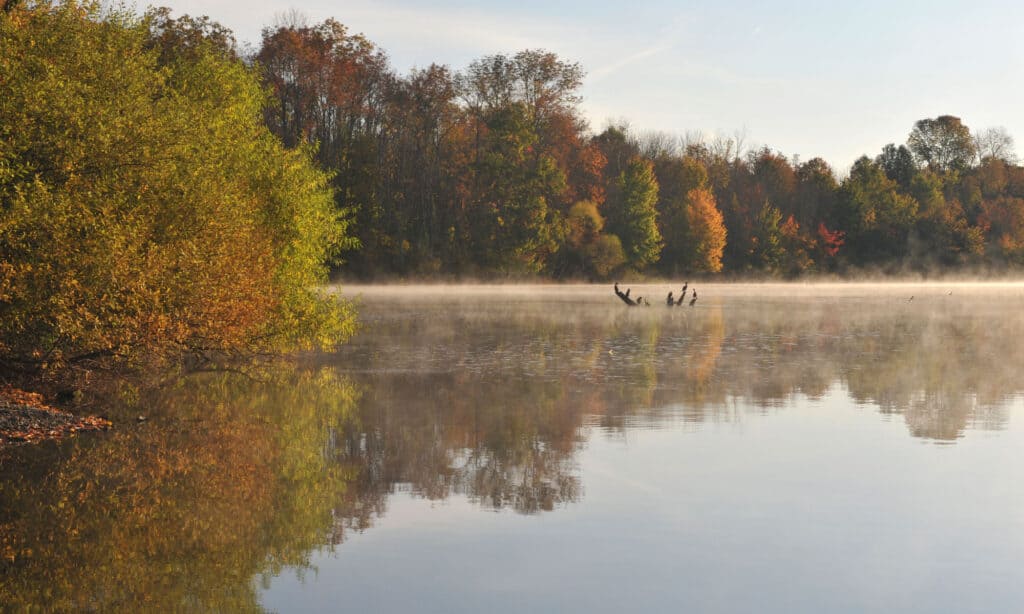 Lake Nockamixon