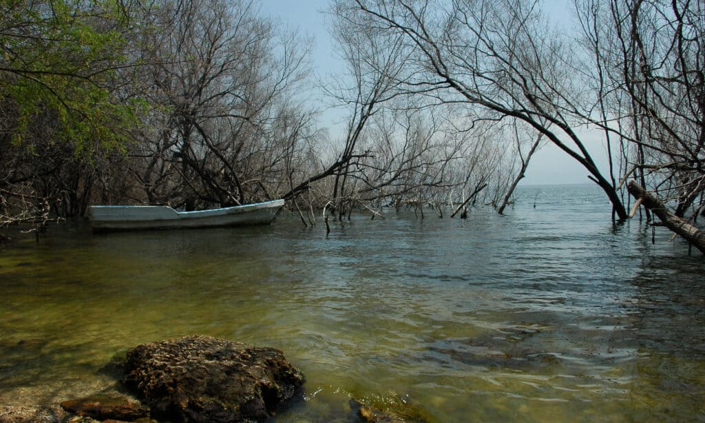 Lake Enriquillo Dominican Republic