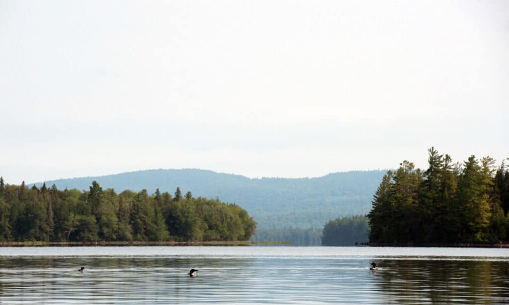 Umbagog Lake