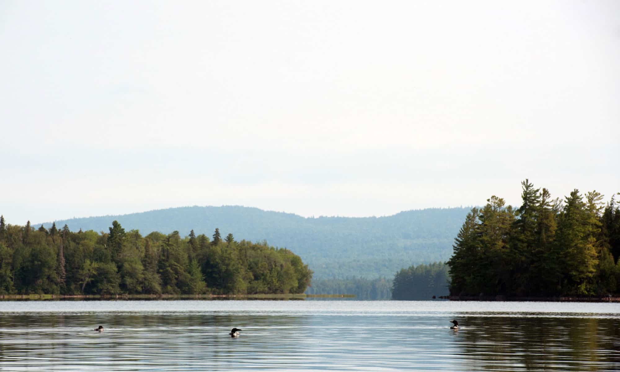 The 10 Biggest Lakes in New Hampshire AZ Animals