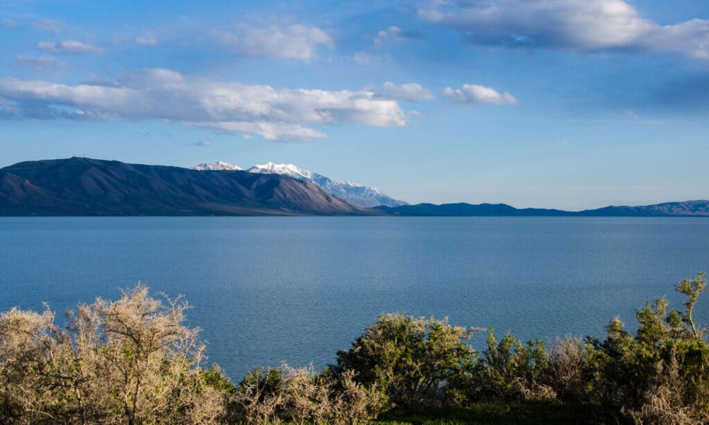 Lac Utah avec skyline
