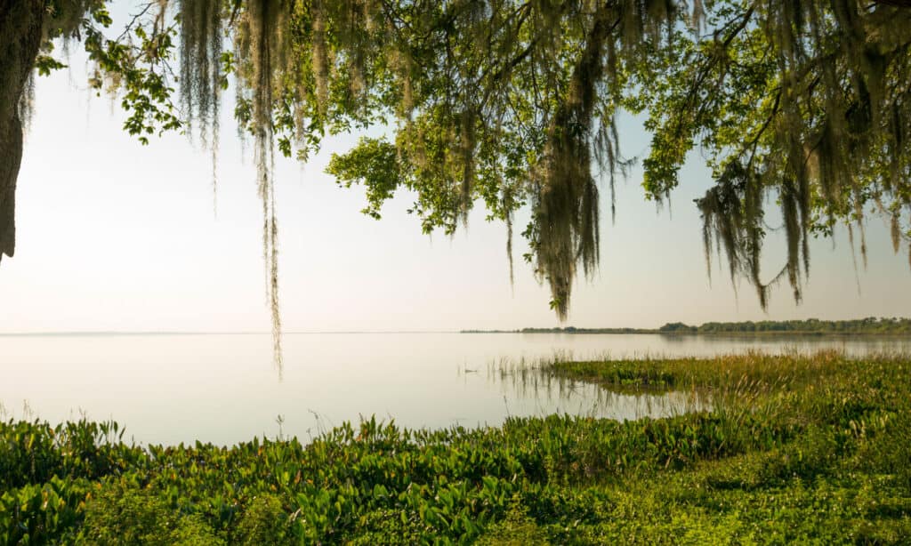 The 12 Biggest Lakes in Florida IMP WORLD