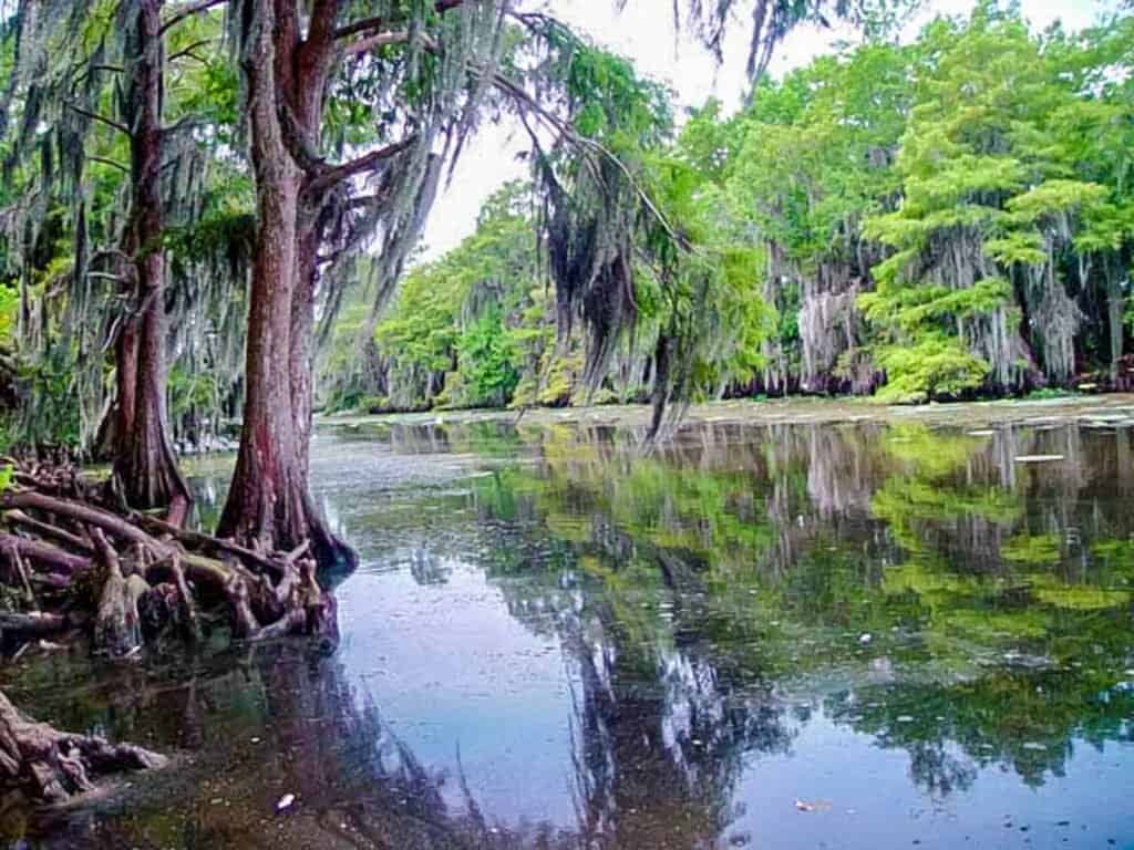 Lake Maurepas louisiana