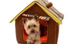 KUDES Cat and Small Dog House Kennel – better than Lucid Paw Foldable Dog House Review Picture