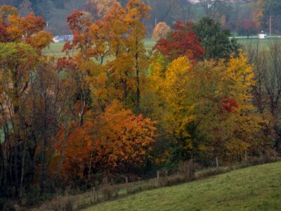 A 10 Great Hiking Mountains In Ohio