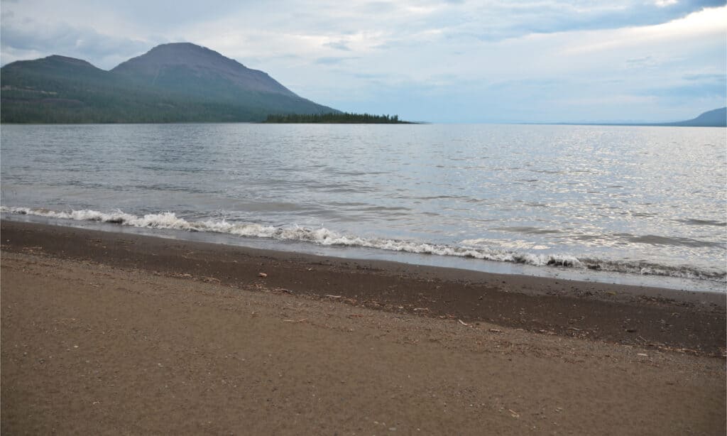  Lake Taymyr Russia