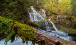 10 Amazing Waterfalls in Washington Picture