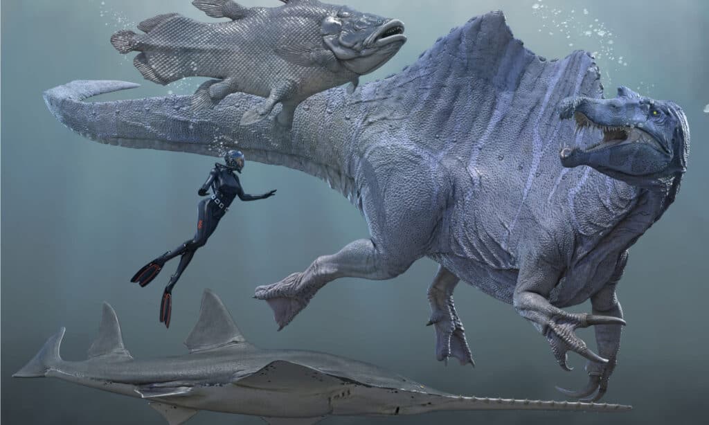 Spinosaurus with Prehistoric Fish