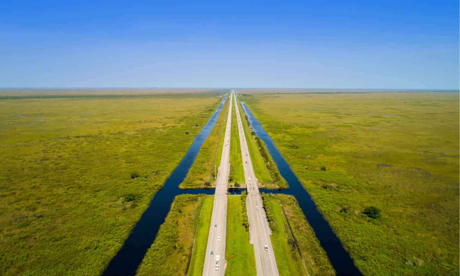 All About Alligator Alley A Scenic Route Through the Florida