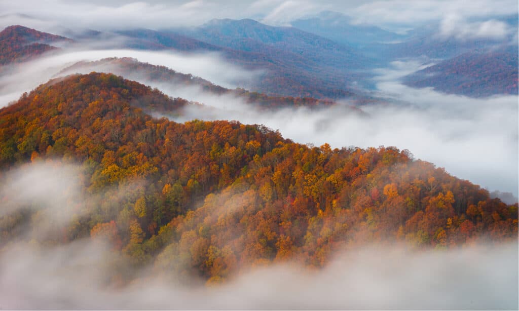 national parks in tennessee