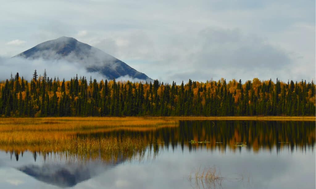 Lake Clark National Park in Fall