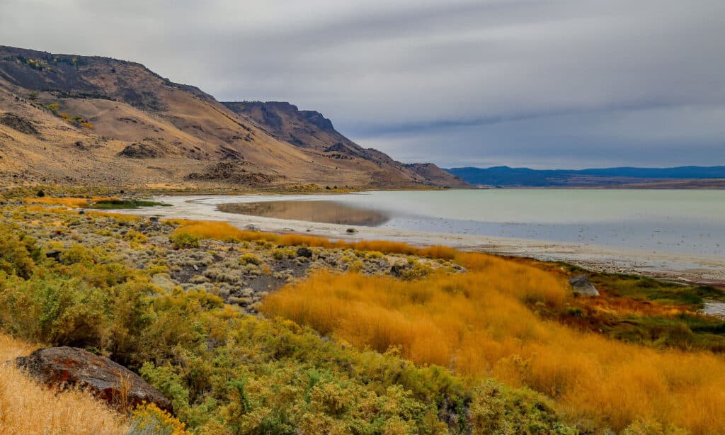 Lake Abert Oregon