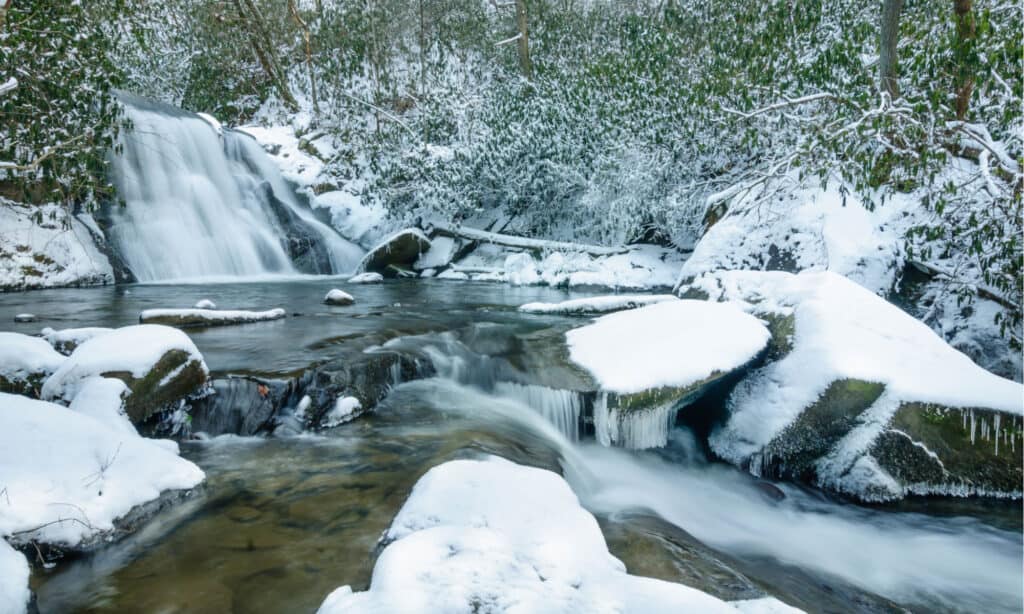 Great Smoky Mountain National Park in Winter
