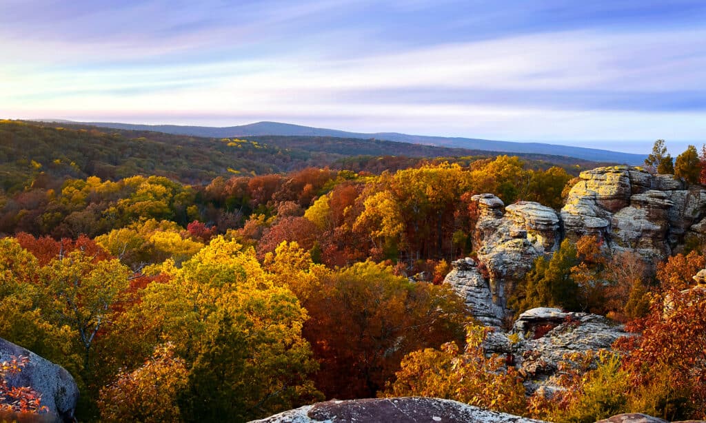 shawnee forest