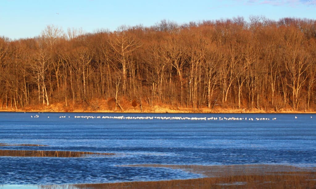 A scenic lake situated in the Kansas Flint Hills, offering recreational activities such as camping, fishing, swimming and boating."