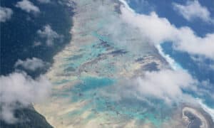 12 Amazing Things to Know About the Remote North Sentinel Island Picture