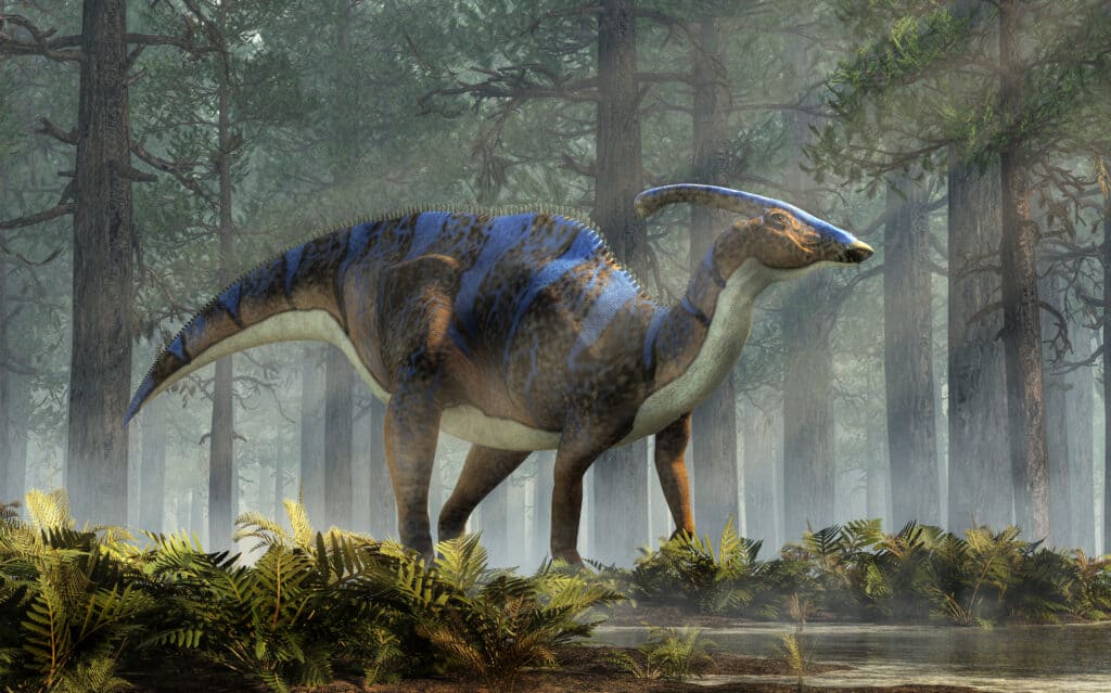 parasaurolophus, a type of herbivorous ornithopod dinosaur