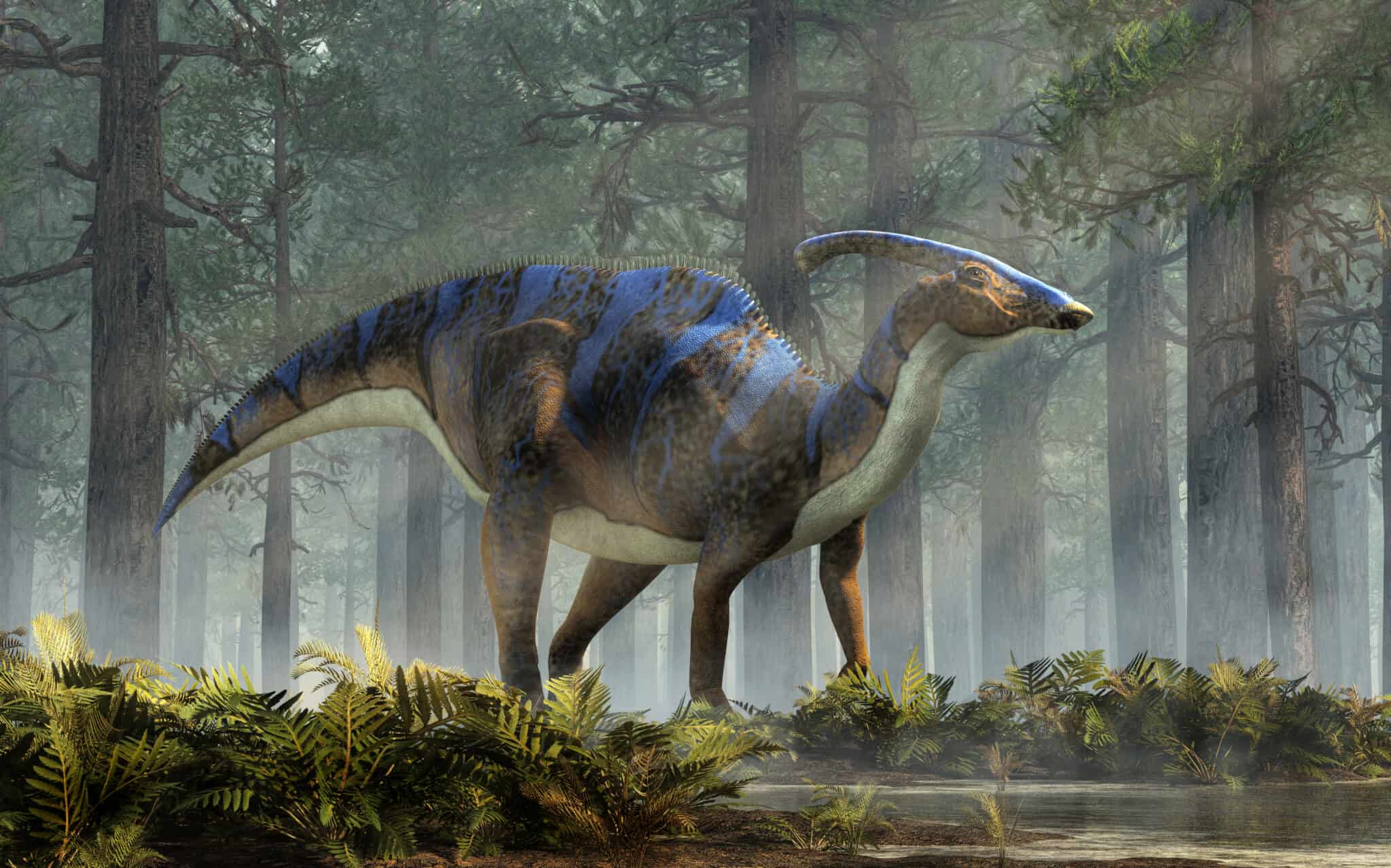 Meet The Parasaurolophus The Dinosaur With A Crest On Its Head A Z Meet The Parasaurolophus The Dinosaur With A Crest On Its Head A Z