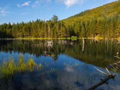 A The 5 Best Places to Camp in Vermont this Summer