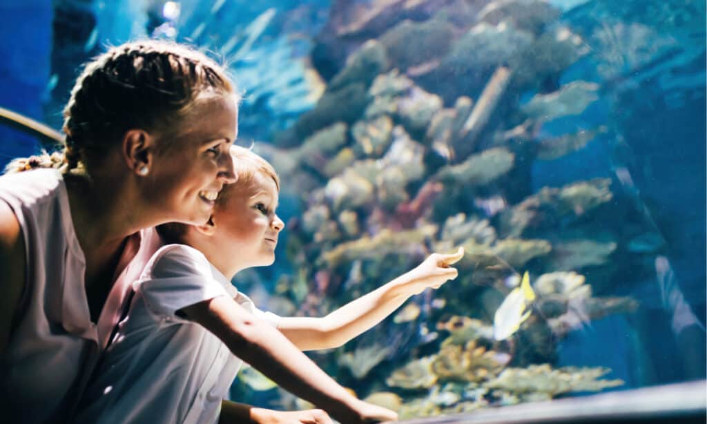 Aquariums in New Hampshire