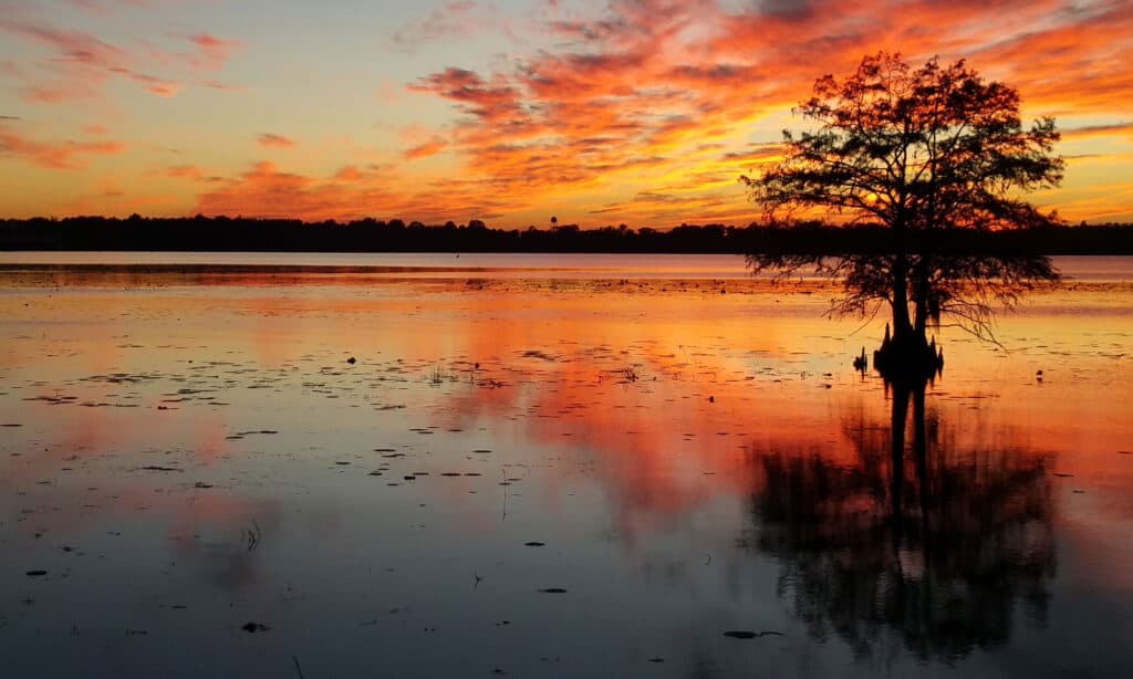 Lake Seminole