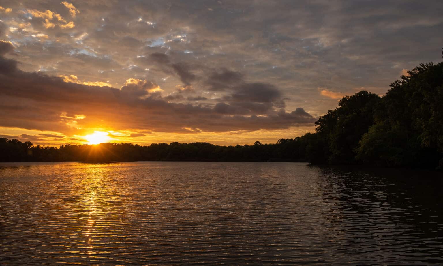 The 10 Biggest Lakes in Delaware - A-Z Animals