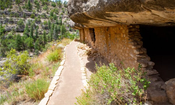 Discover the 10 Best National Parks in Arizona - A-Z Animals