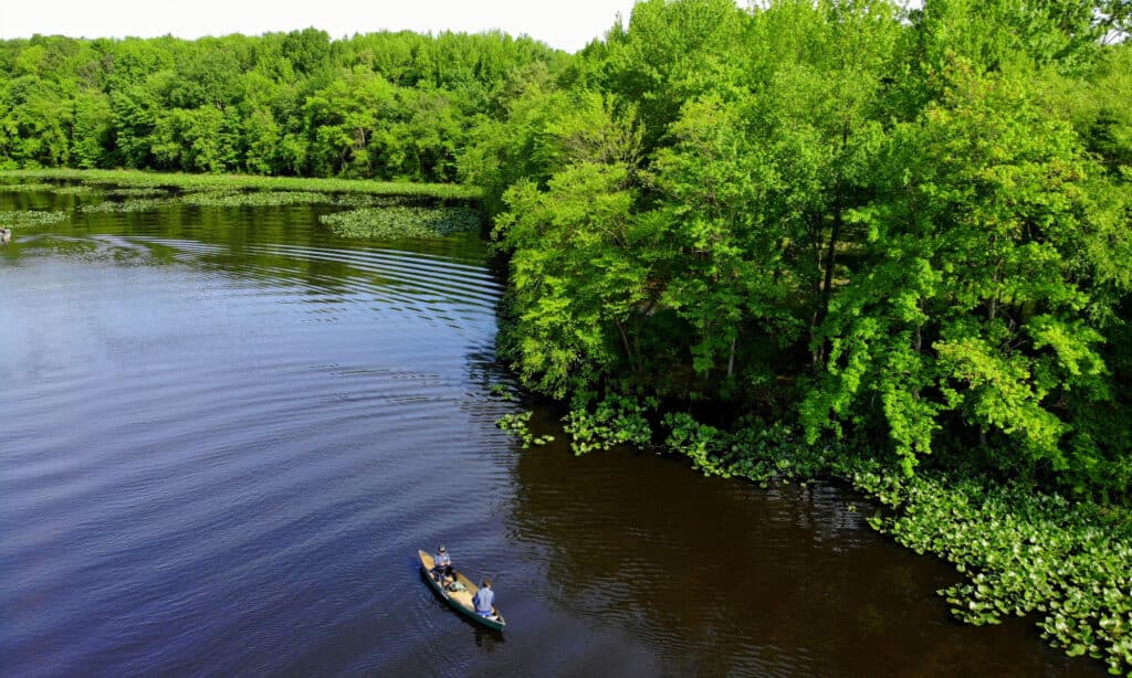 A large body of water surrounded by trees in the background.