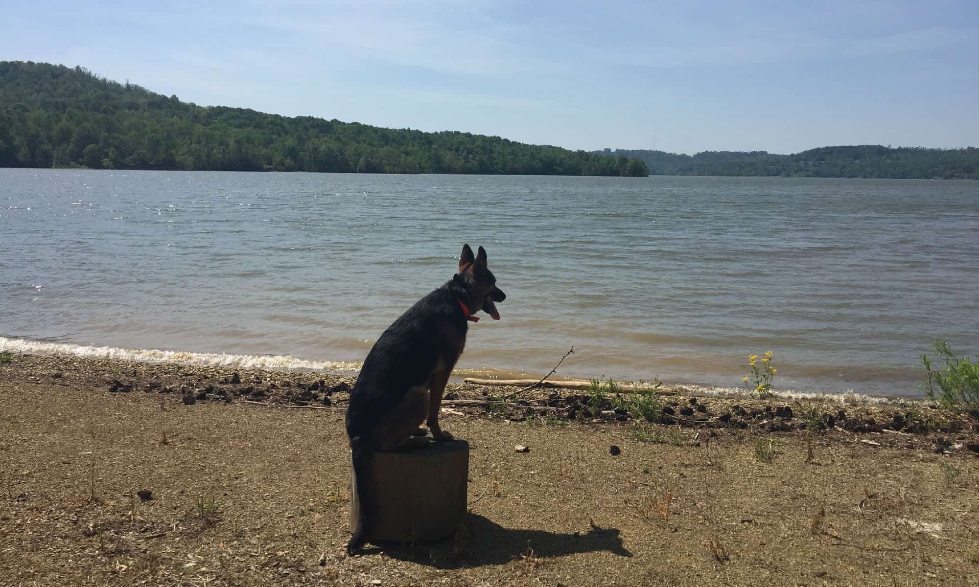 The 12 Biggest Lakes in Ohio - A-Z Animals