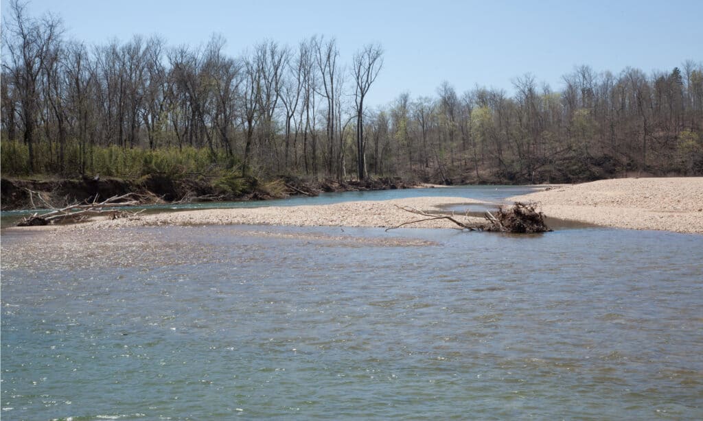 Black River in Lesterville, Missouri
