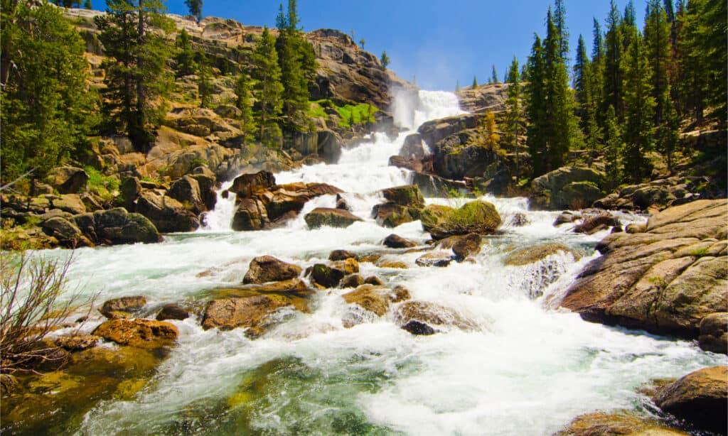 Tuolumne River