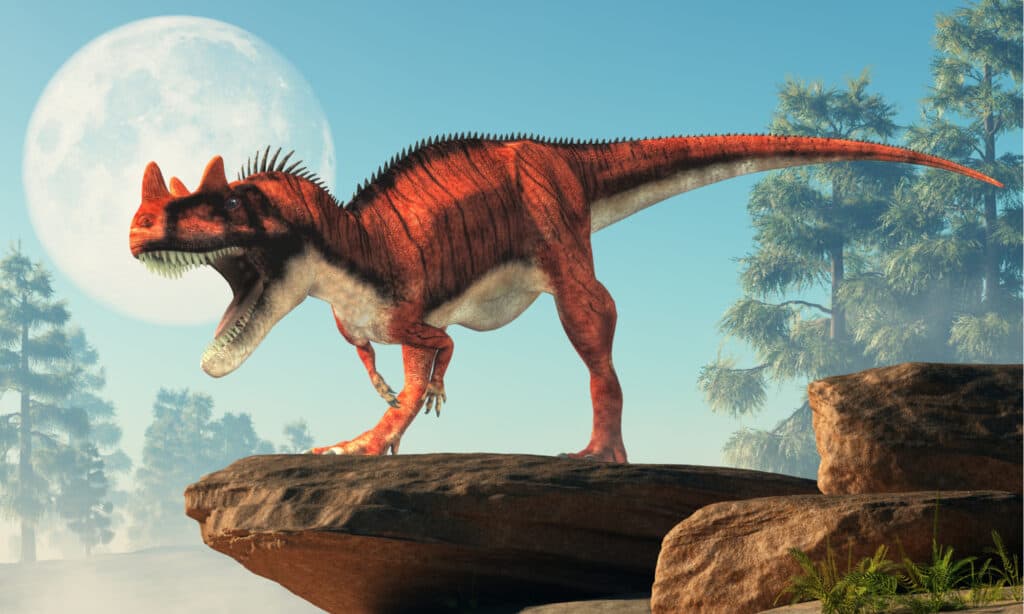 Ceratosaurus - Dinosaurs with Horns