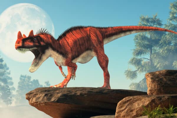 Ceratosaurus was a carnivorous theropod dinosaur of the Jurassic era most notable for the horns on its snout over its eyes. 