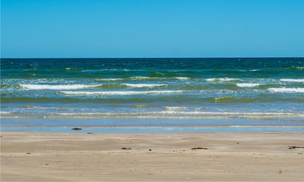 Padre National Island Seashore. The longest beach in Texas.